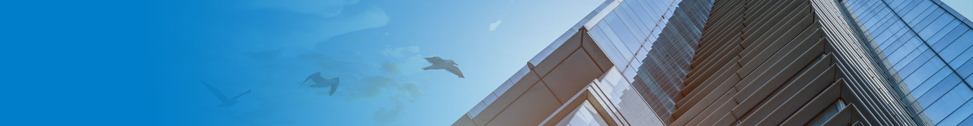 brand_banner