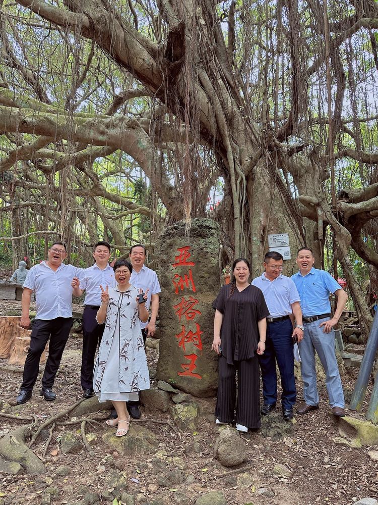 彩名堂(中国区)官方网站入口